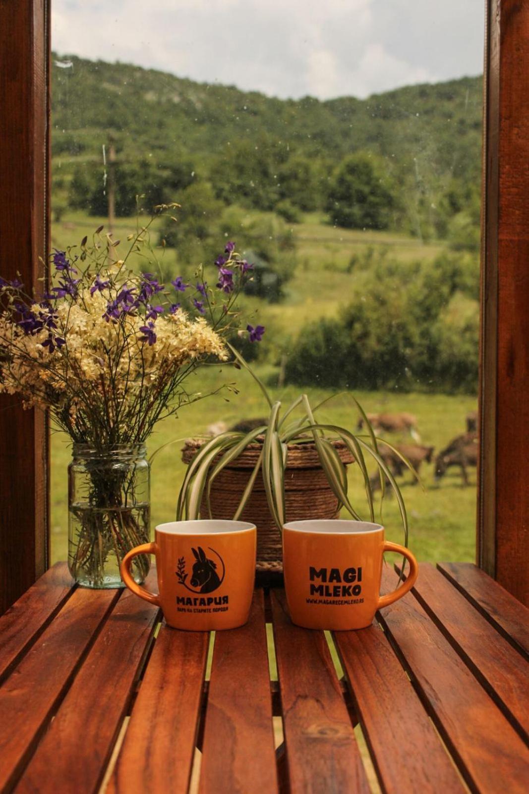 Magarija 1 Daire Dimitrovgrad Dış mekan fotoğraf