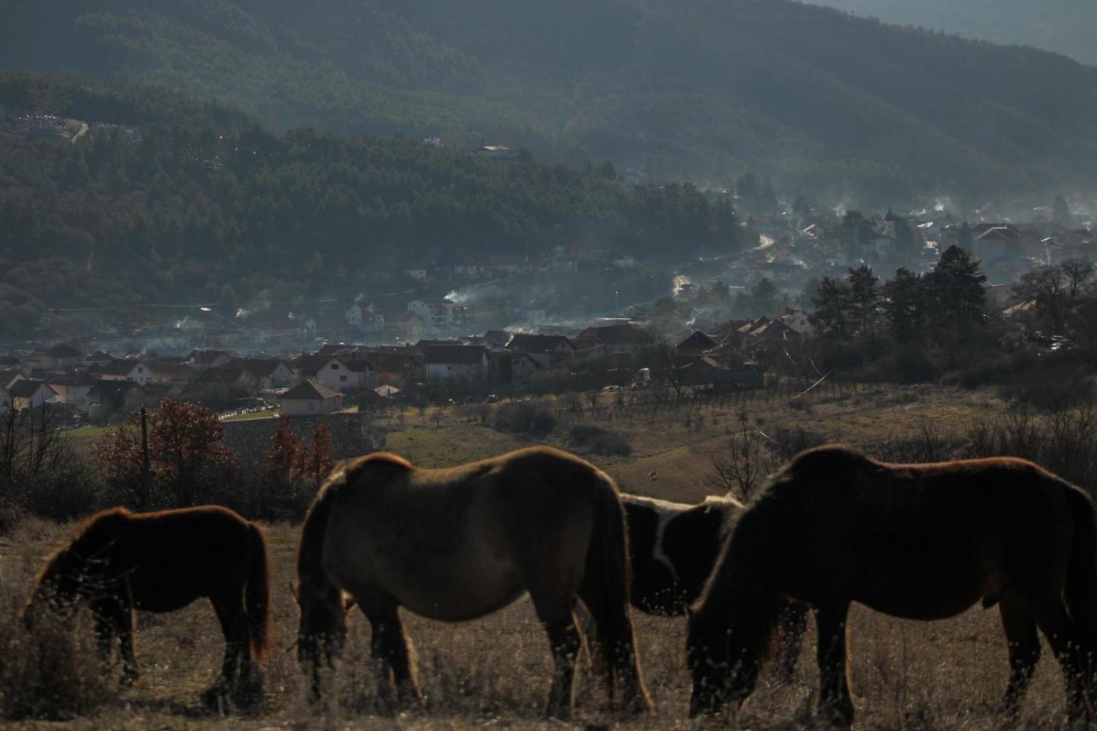 Magarija 1 Daire Dimitrovgrad Dış mekan fotoğraf